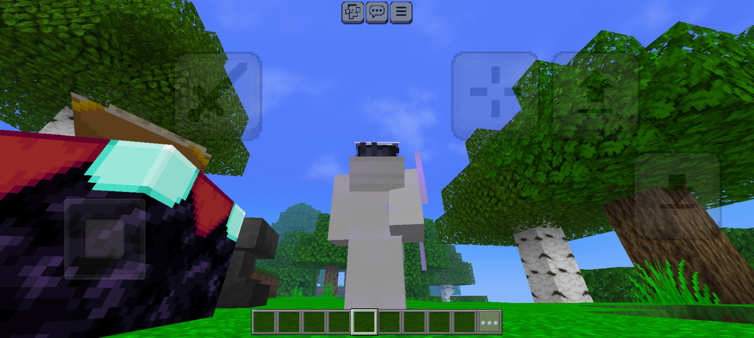 Screenshot_20240206_133133_Minecraft.jpg