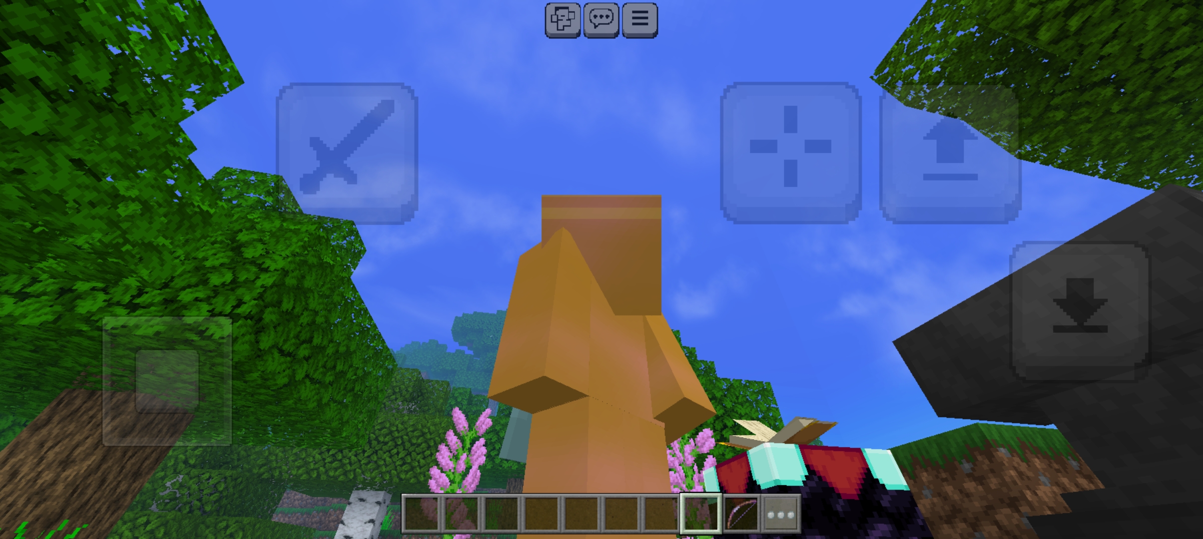 Screenshot_20240206_133257_Minecraft.jpg
