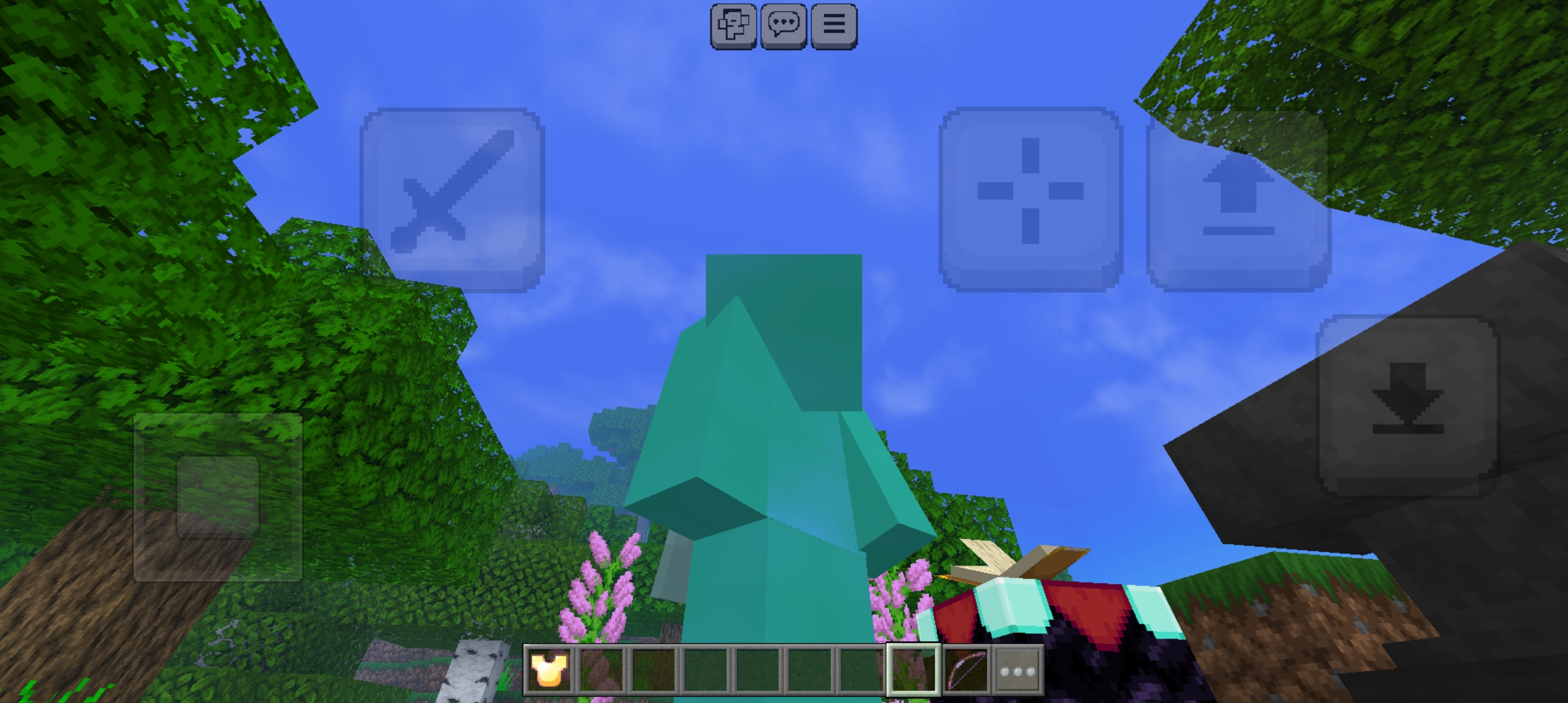 Screenshot_20240206_133313_Minecraft.jpg