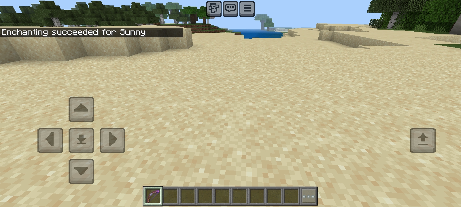 Screenshot_20240606_071349_Minecraft.jpg