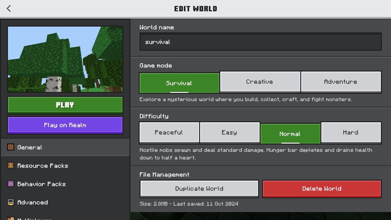 Screenshot_20241011-000957_Minecraft.jpg