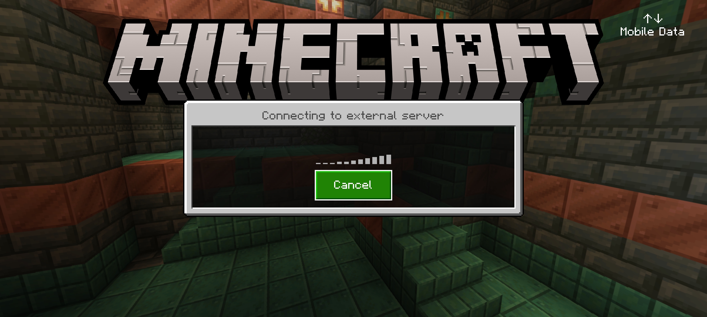 Screenshot_20241124_141159_Minecraft.jpg