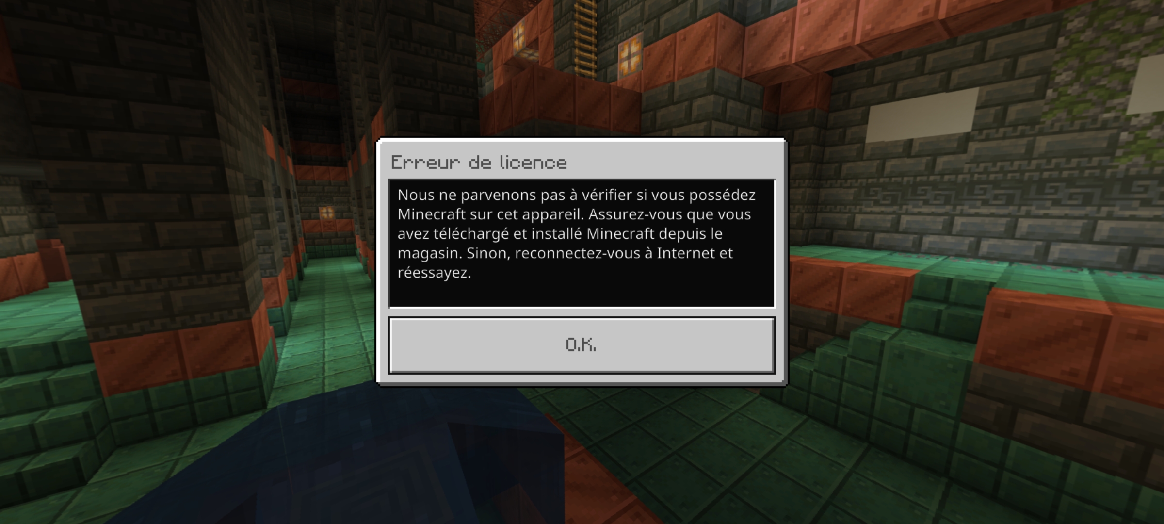 Screenshot_20241126_231402_Minecraft.jpg