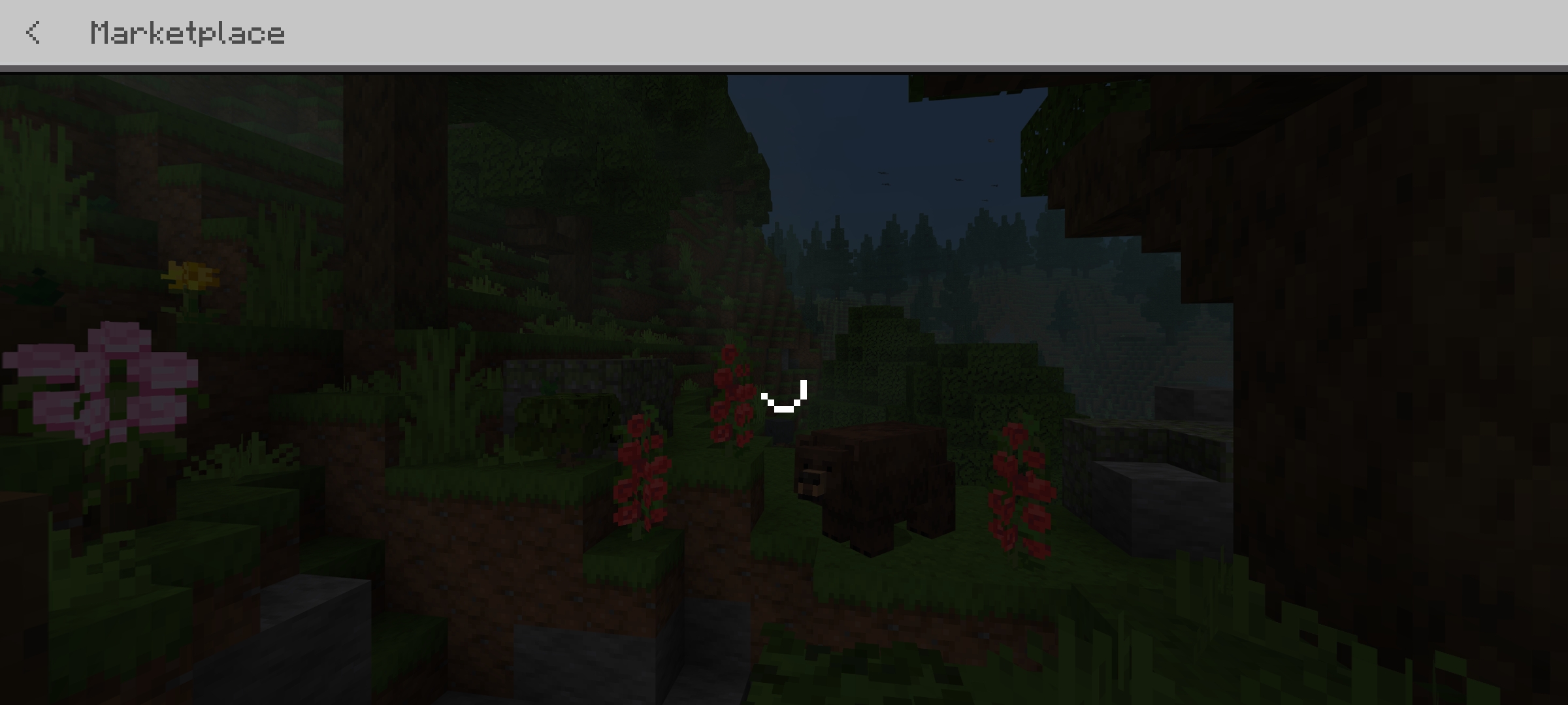 Screenshot_2024-12-15-17-41-37-863_com.mojang.minecraftpe.jpg