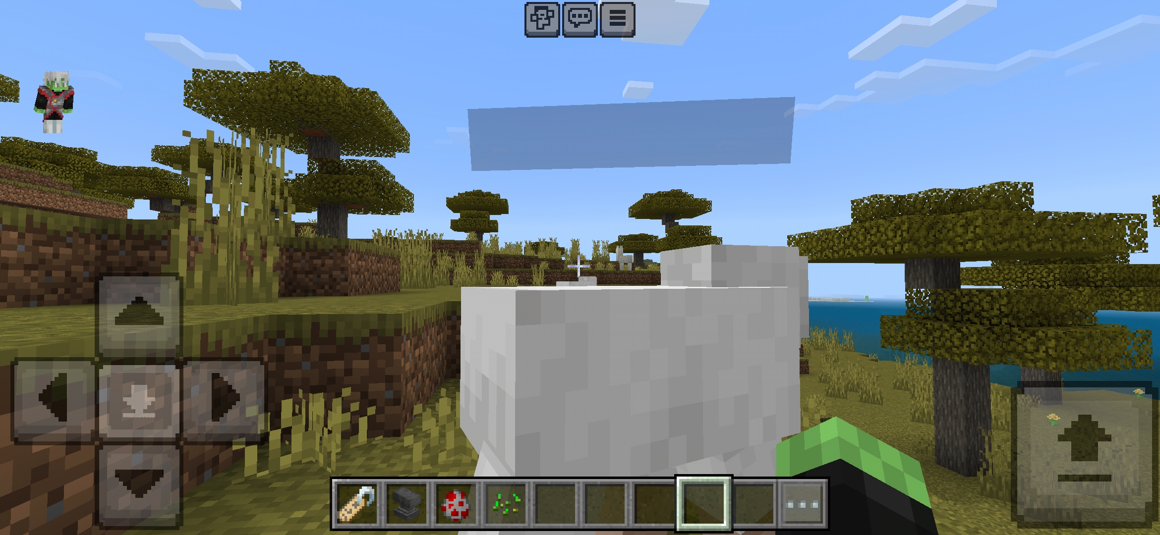 Screenshot_20241217_194102_Minecraft.jpg