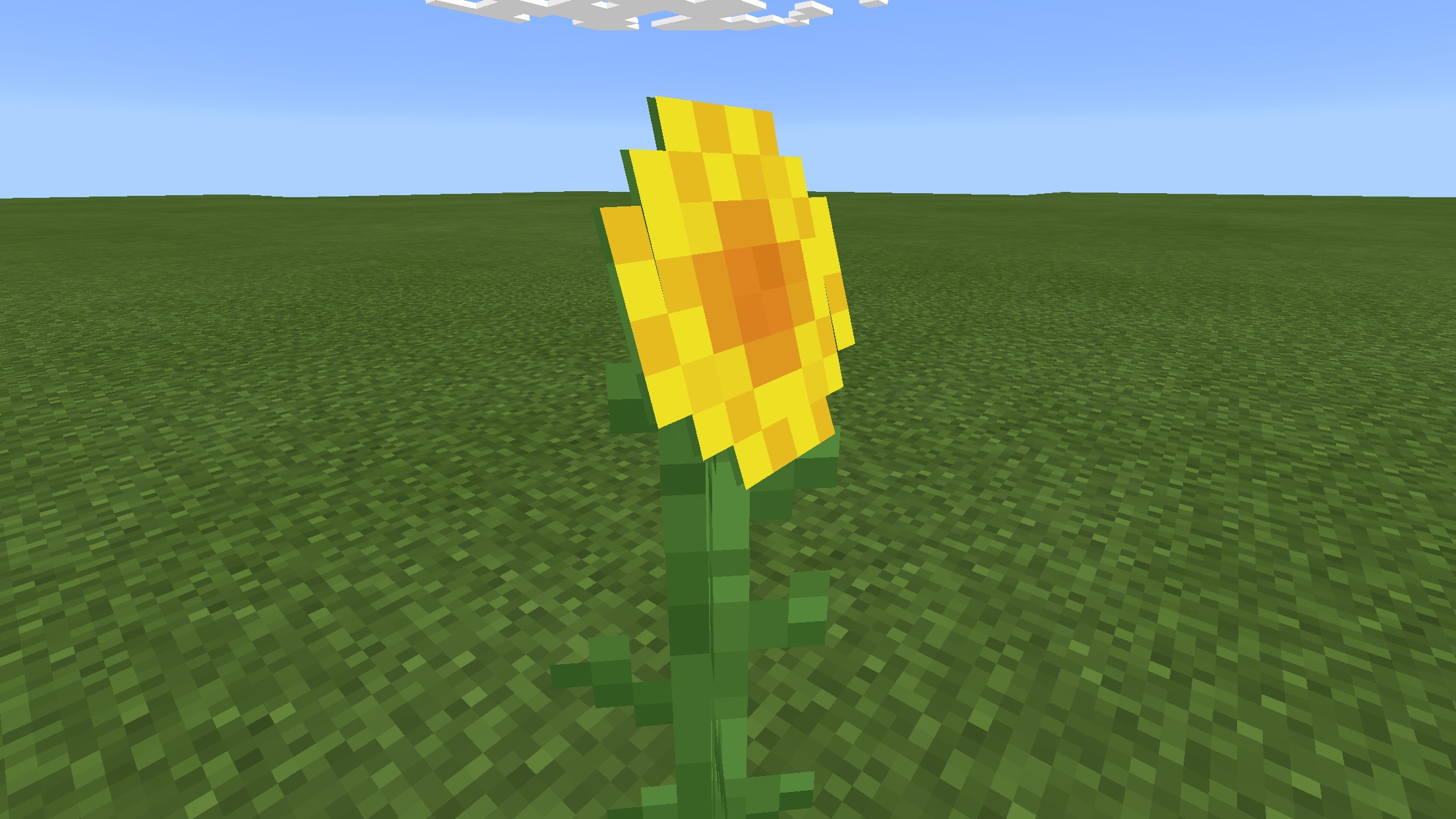 image.jpg