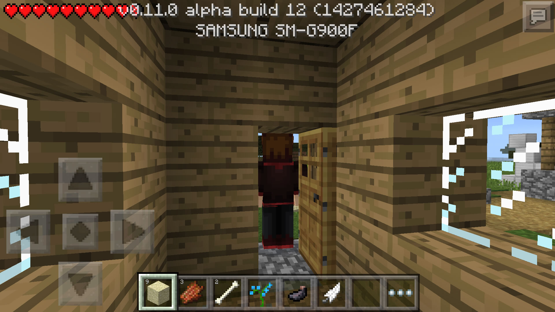 Before the door.jpg